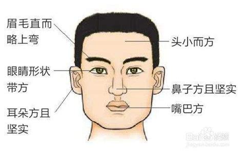 木型臉|【木型人】木型人的面相特徵、判斷法和注意事項，一。